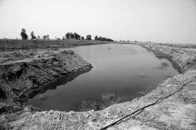 湿地被挖现场图 一